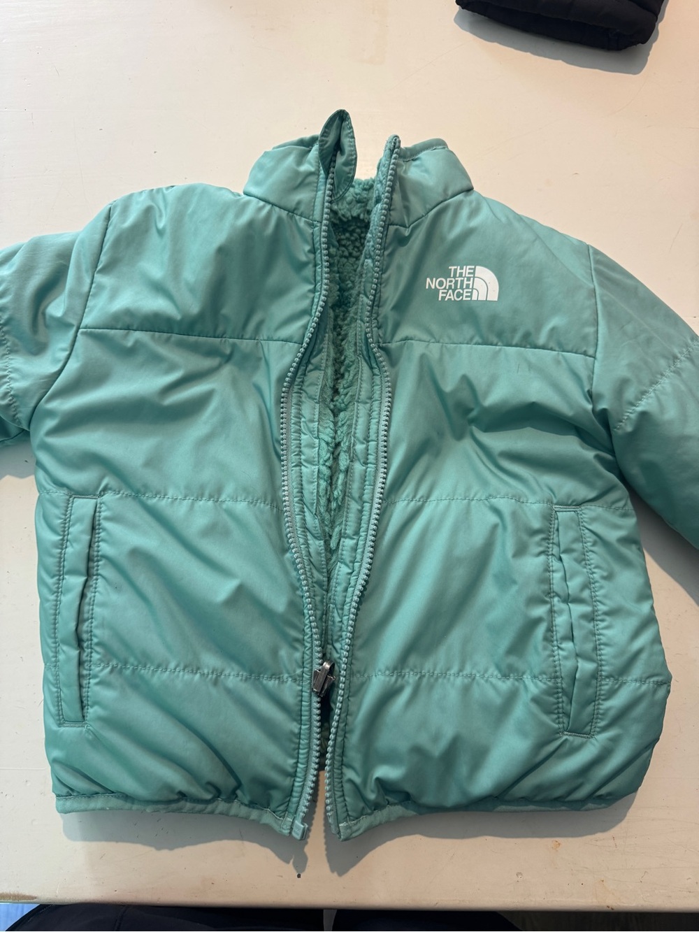 The North Face Kids Teal/Seafoam Puffer Jacket